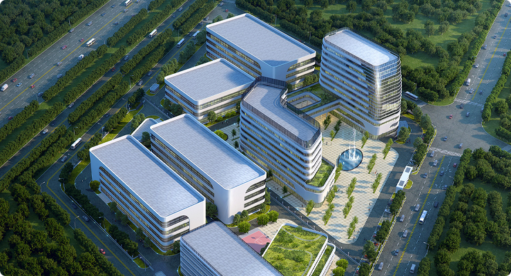 今年会金字简介